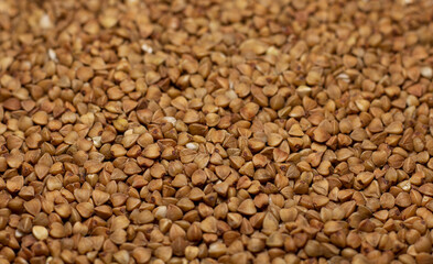 beautiful buckwheat background