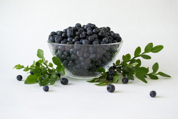 Fresh Blueberries in a bowl on white background. Juicy wild forest berries, bilberries. Healthy eating or nutrition.