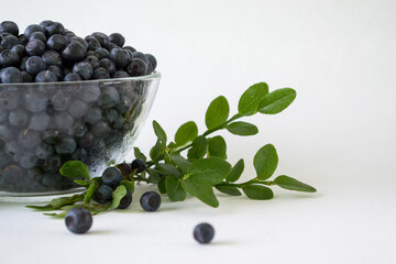 Fresh Blueberries in a bowl on white background. Juicy wild forest berries, bilberries. Healthy eating or nutrition.
