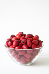 Rose-hips or wild rose berries isolated on a white background.