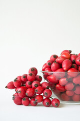 Rose-hips or wild rose berries isolated on a white background.