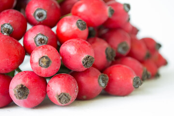 Rose-hips or wild rose berries isolated on a white background.