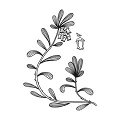 Bear berry plant with leaf, isolated on white drawing, vector illustration.