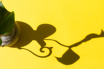 Monstera leaf in brass jug with sunlight and harsh shadow on yellow paper background. Summer concept with palm tree leaf. Copy space. Flat lay.