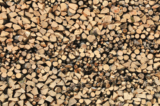 madera para fuego cortada amontonada en el exterior para secarse 4M0A0106-as21