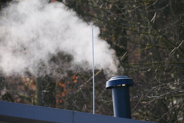 Fototapeta na wymiar chimney on a roof with white smoke near the forest