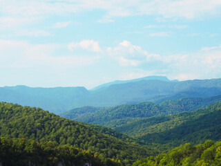 Mountain valley overgrown with bright green forests against the background of blue sky and clouds on a summer sunny day