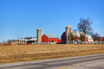 1316 - Marlette Reds