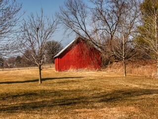 1326 - Romeo Plank's Little Red