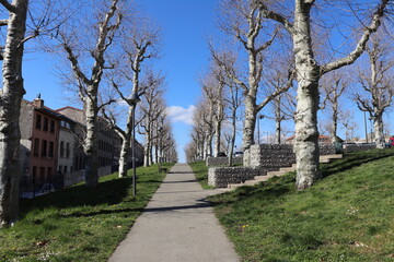 L'esplanade du Crêt de Roc bordée d'arbres, ville de Saint Etienne, département de la Loire, France