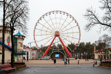 ferris wheel in the park