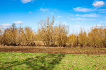 Bare scrubland in winter