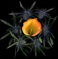 Blue and Orange flowers 