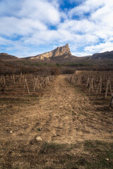 Winter sunset in the vineyard of Crimea. Moody sky