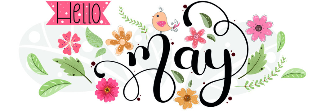 Hello May. MAY Month Vector With Flowers, Birds And Leaves. Decoration Floral. Illustration Month May