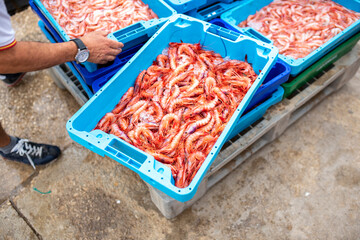 Box of red shrimps fresh from the sea