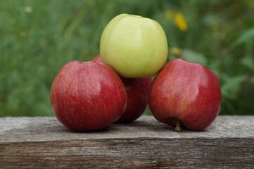 A slide of large juicy, ripe, beautiful green and red apples in nature on a wooden board.