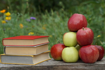 A stack of large juicy, ripe, beautiful, green and red apples in nature on a wooden board and books.