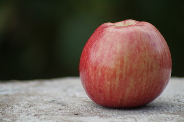 One beautiful large red apple on a green background.