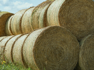 Large round straw bales in field