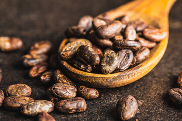 Roasted cocoa beans in wooden spoon.