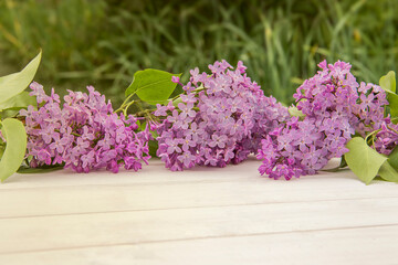 Closeup of three branches of blooming lilac on white rustic wooden surface. Space for product or text on foreground