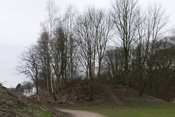 Wo bleibt der Frühling