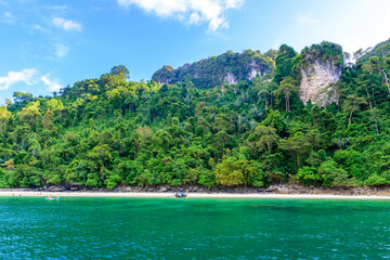 Monkey beach in paradise Bay - about 5 minutes boat ride from Loh Dalum Beach - Koh Phi Phi Don Island at Krabi, Thailand - Tropical travel destination