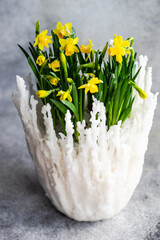 Floral composition with yellow daffodils