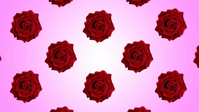 Background of a rose in 2d, a lot of drawn beautiful flowers, animated animation of red roses on a pink background