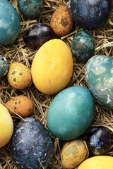 Multicolored Easter chicken and quail eggs, close-up