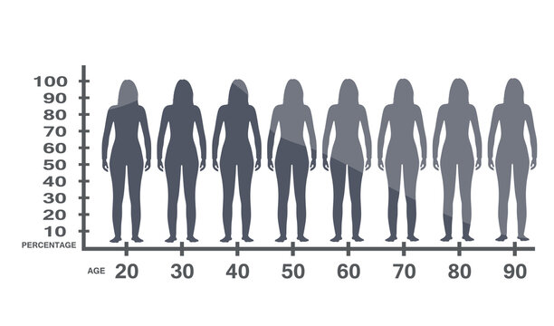 Woman estrogen level. vector illustration