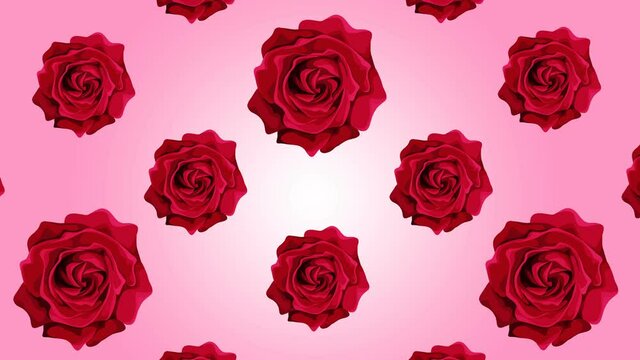 Background of a rose in 2d, a lot of drawn beautiful flowers, animated animation of red roses on a pink background