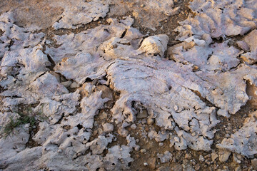 Abstract texture created by salt and mud at the shore of Larnaca salt lake