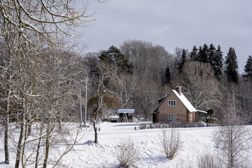 Latvian rural landscape in winter with white frosty snow and trees between which the residential building can be seen.