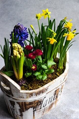 Spring floral interior composition