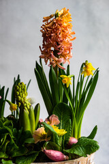 Obraz premium Spring floral interior composition