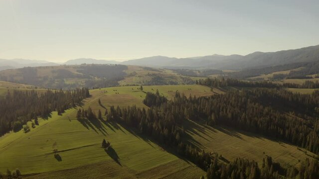 Carpathian mountains covered with green forest and glades