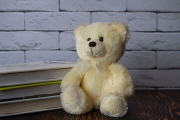 teddy bear with books on white bricks background