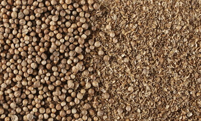 Coriander grains and ground pile background and texture, top view