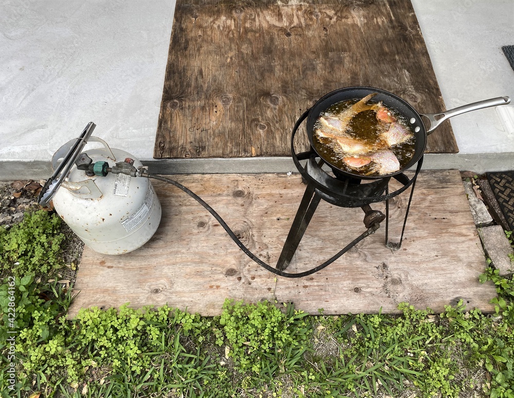 Wall mural Frying fish in a frying pan with oil in an outdoor setting, for dinner. A propane tank is used to heat the oil and cook the trout.