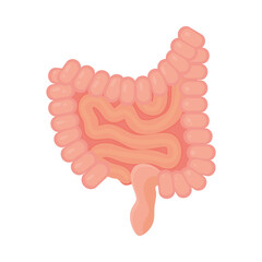 human intestines design