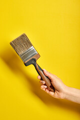 cropped female holding paint brush in hands