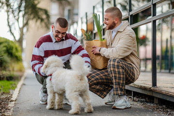 Two male is playing with their dog after groceries shopping