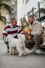 Two male is playing with their dog after groceries shopping