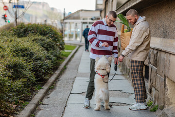 Gay couple walking home after grocery shopping with dog