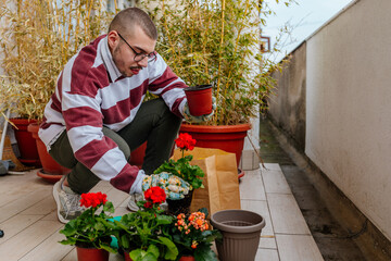 Male gardener planting flowers on balcony