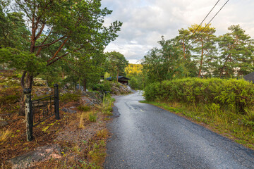 Beautiful nature landscape view. Asphalt road between green trees on cloudy sky background. Sweden.