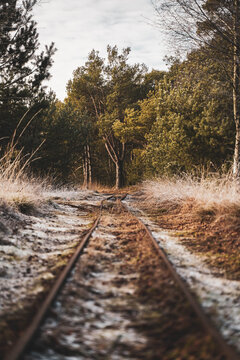 Torfbahn Schienen im vereisten Moor Tister Bauernmoor
