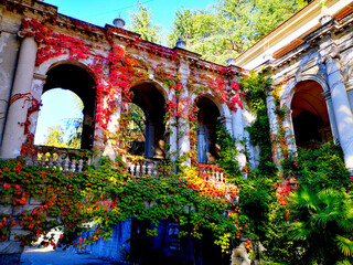 Obraz premium abandoned sanatorium Ordzhonikidze in Sochi